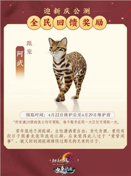 亿兆天龙八部私服